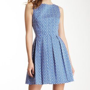 Blue Preppy Cotton Dress / Easter Dress / Church Dress